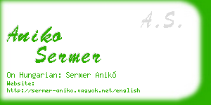 aniko sermer business card
