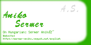 aniko sermer business card